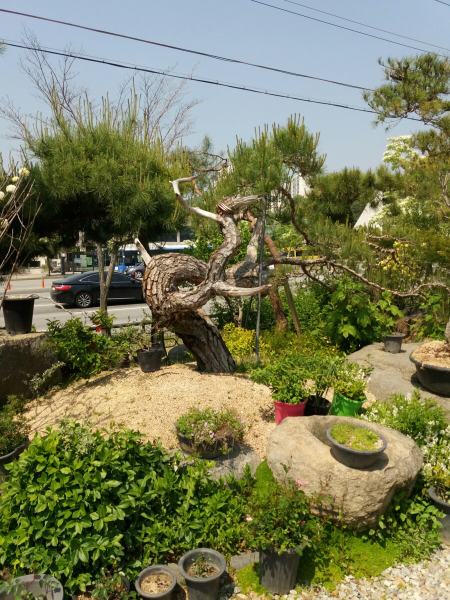 푸름조경 이미지