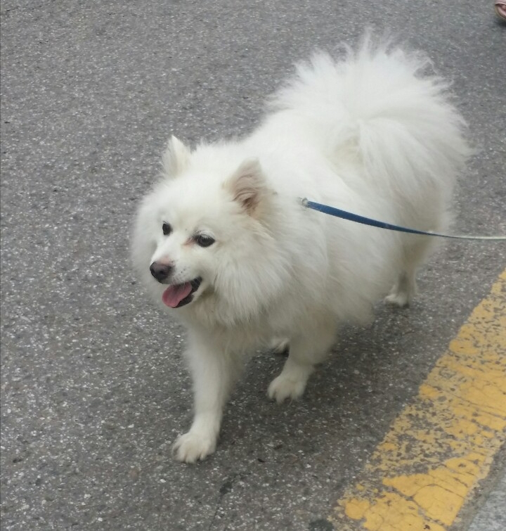 김영옥미용실 이미지
