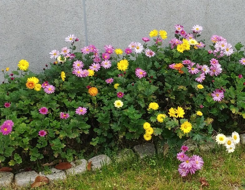 바른음식연구소 이미지