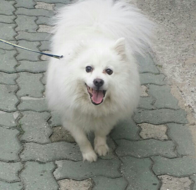 김영옥미용실 이미지