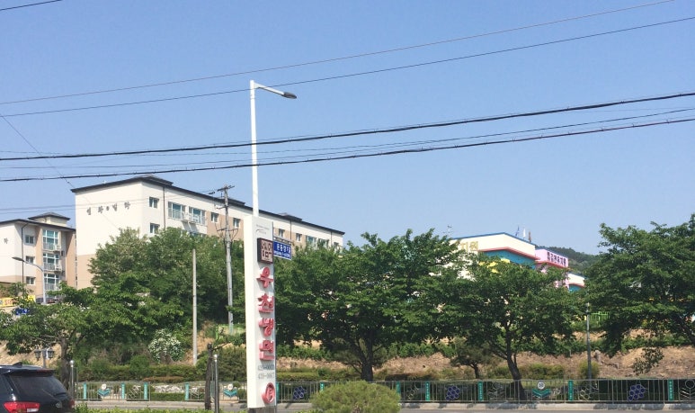 성심각 이미지