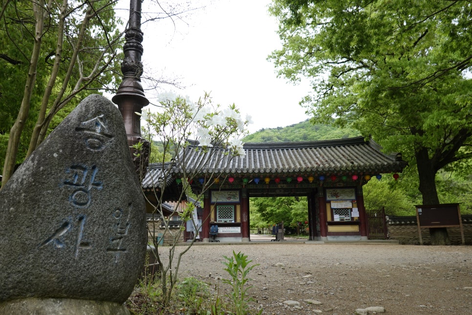 삼보서점 이미지