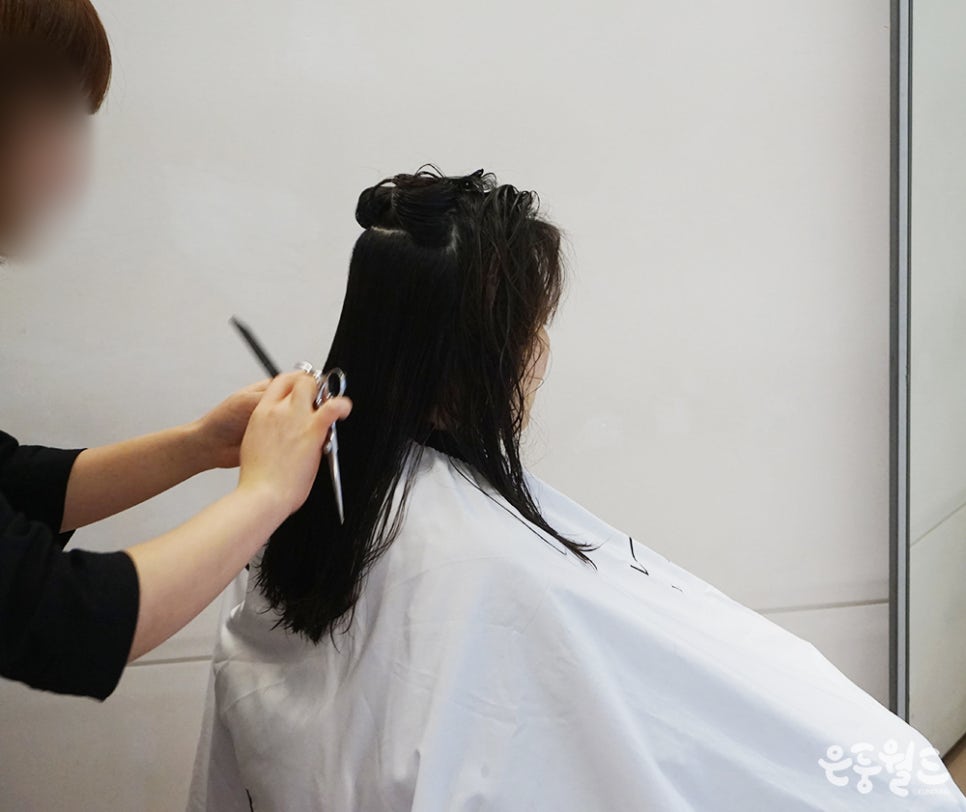 LADINO(라지노) 이미지