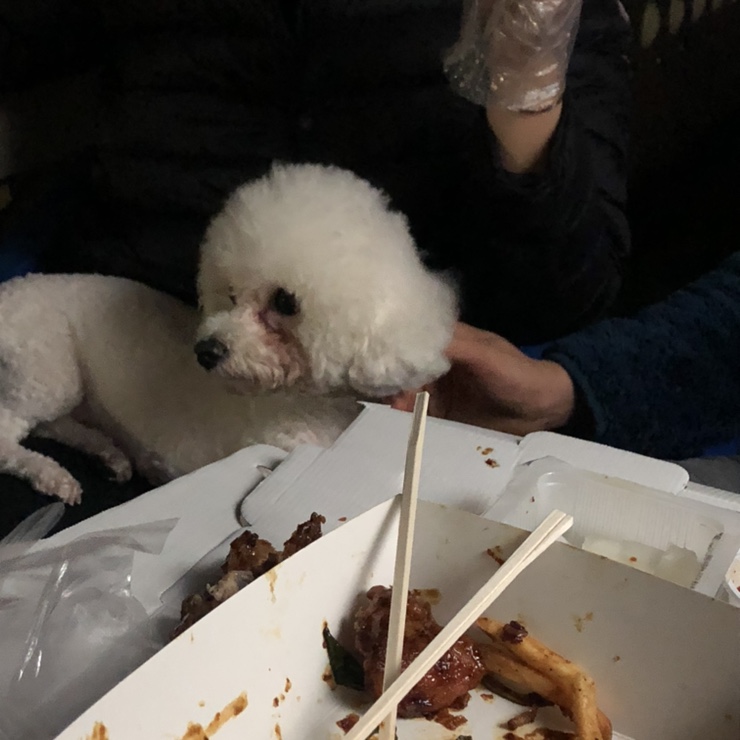 오아시스셀프세차장 이미지