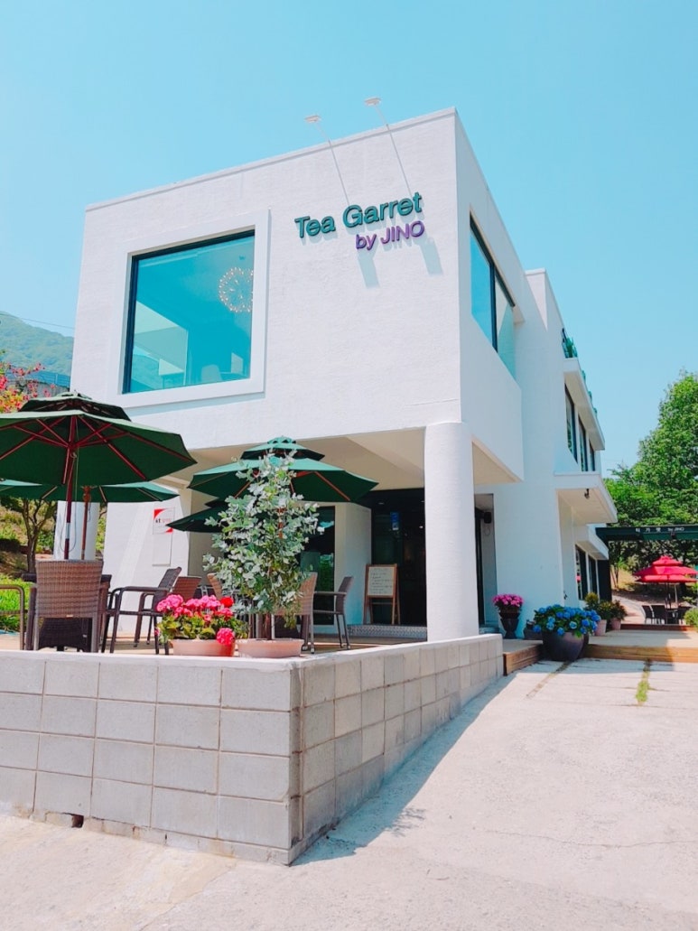 티가렛바이지노 이미지
