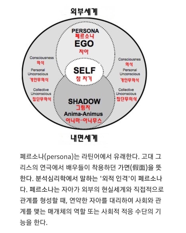 머리박사 이미지