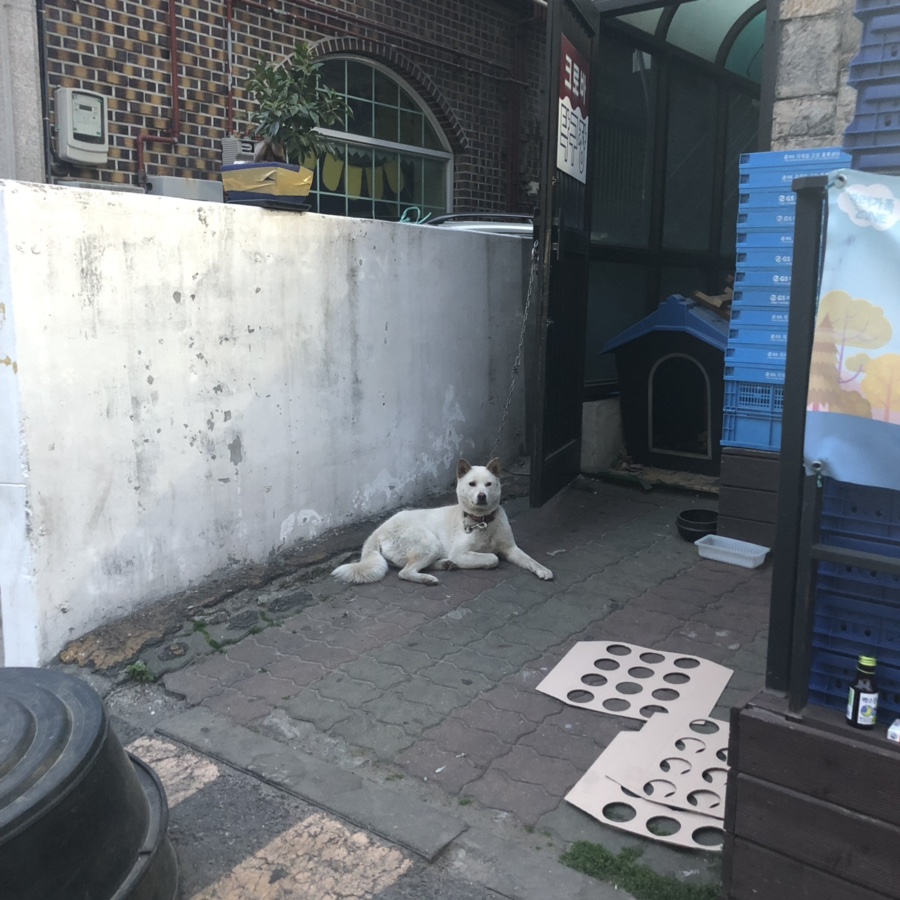 크로바편의점 이미지