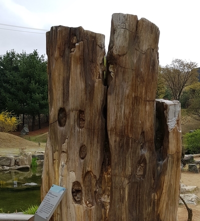 상록행정사 이미지