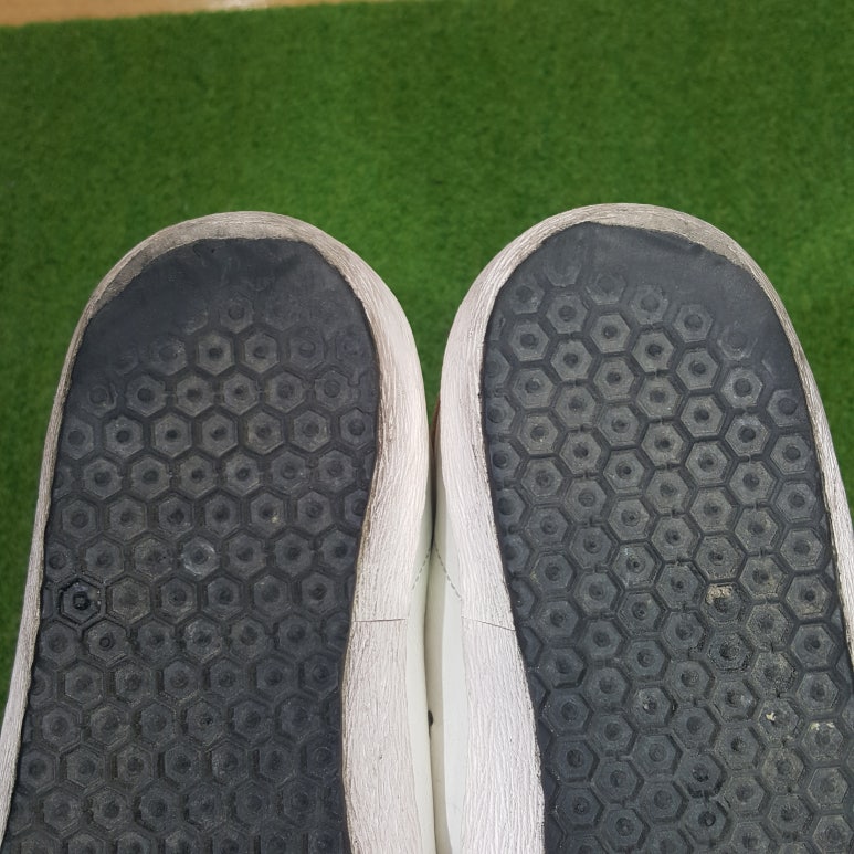 백가수선 이미지
