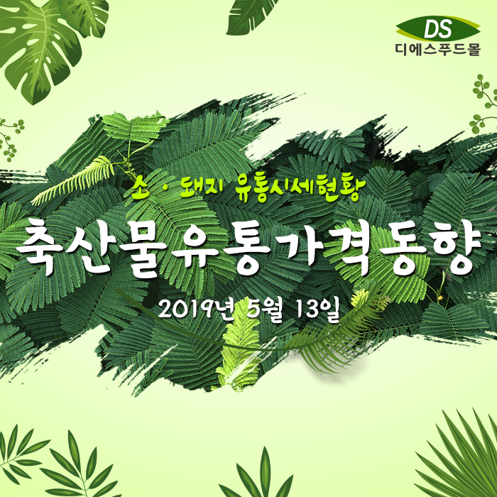 디에스유통 이미지