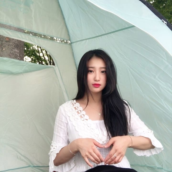 나른한 오후 도시락 이미지