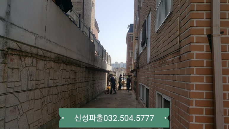 신성인력 이미지