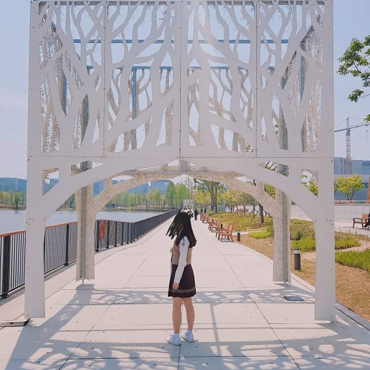 대일관광 이미지