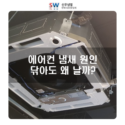 신우냉열 이미지