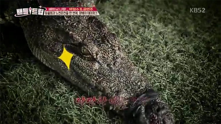 머드온천랜드 이미지