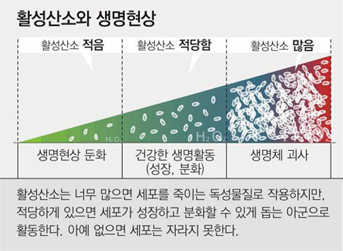 가로수짐 이미지