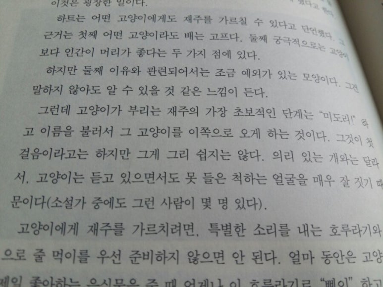 일상여백 이미지