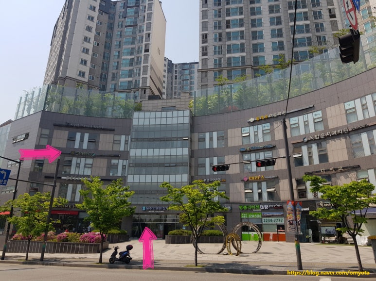 옥수스파관리 이미지