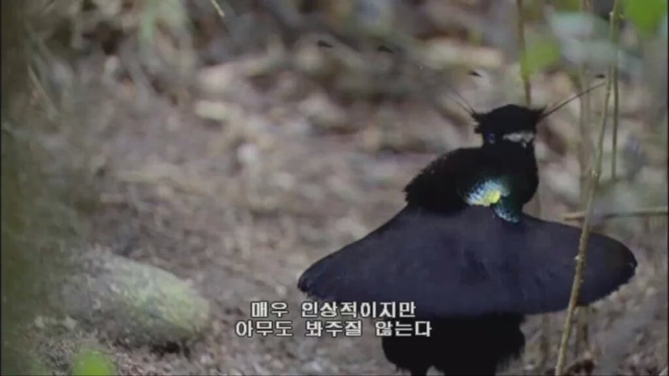 칠성식당 이미지