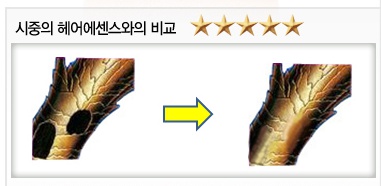 파이모아 이미지