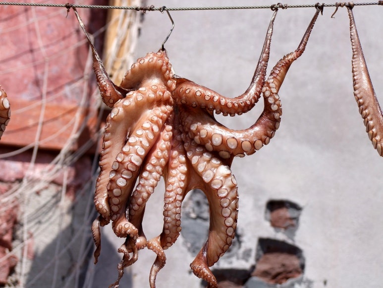 해림유통 이미지