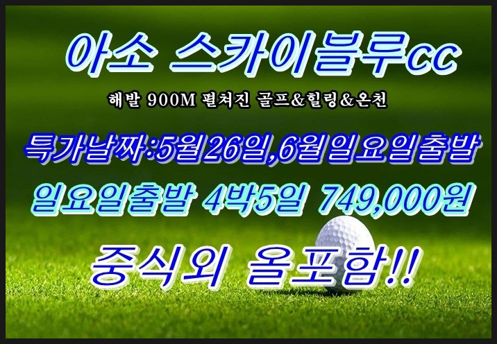 파란날개투어 이미지