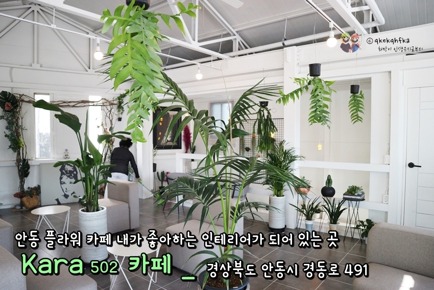 카페502 이미지