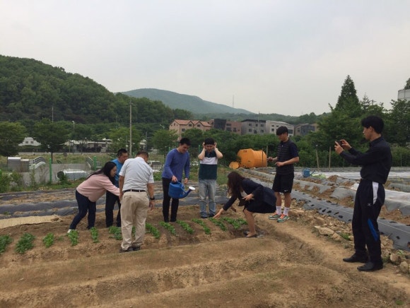 용인레이번스축구단 이미지