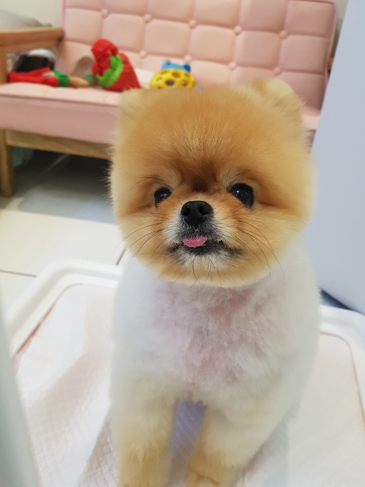 문정미용타운 이미지