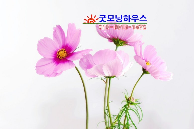 국제무도학원 이미지