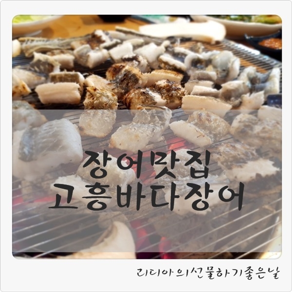 고흥바다장어 이미지