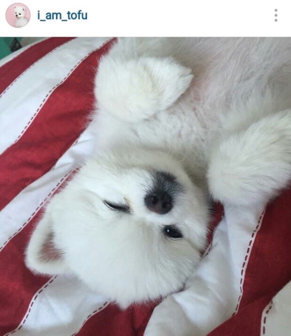 띵똥와플 이미지