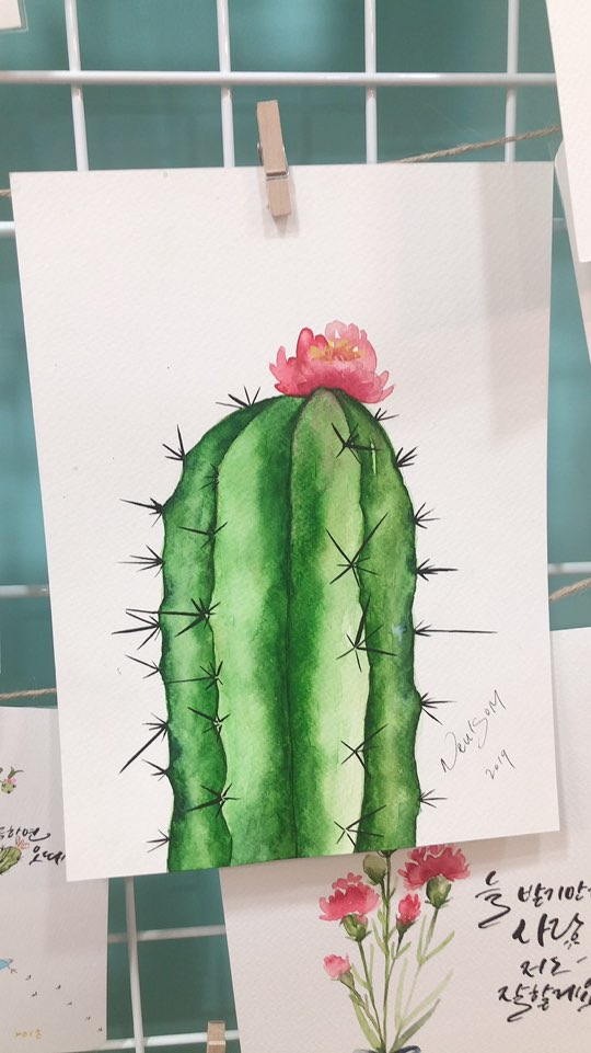 코코벨로스 이미지