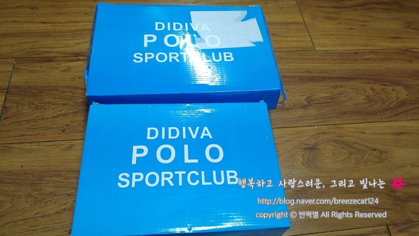 플레인디 이미지