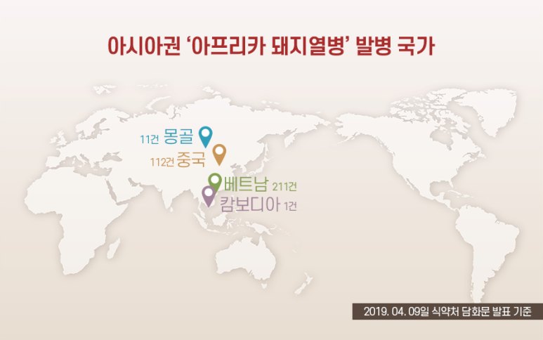 선양돼지 이미지