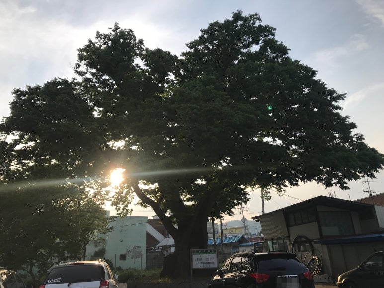 장보고당구장 이미지