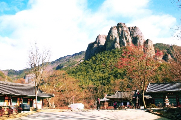 홍보관광여행사 이미지