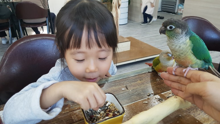 버드아뜰리에 이미지