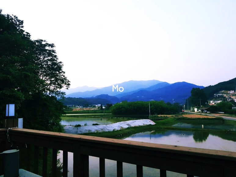 몽실국수 이미지