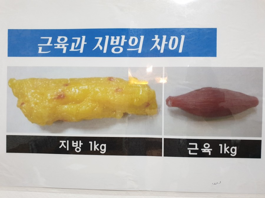 잘빠짐점핑 이미지