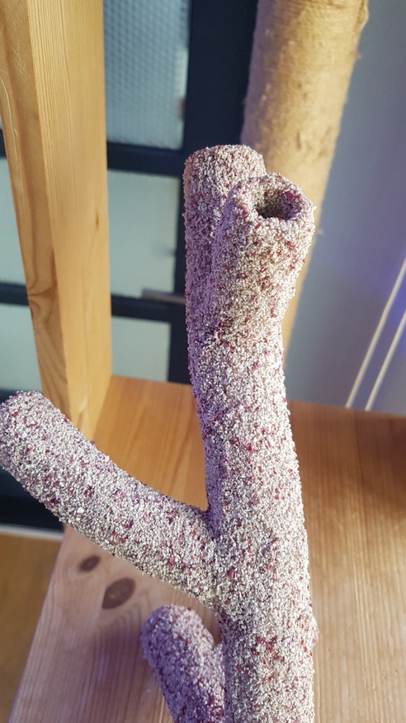 블래니 이미지