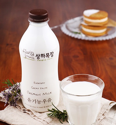 법인상하 이미지