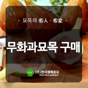 한국원예종묘 이미지