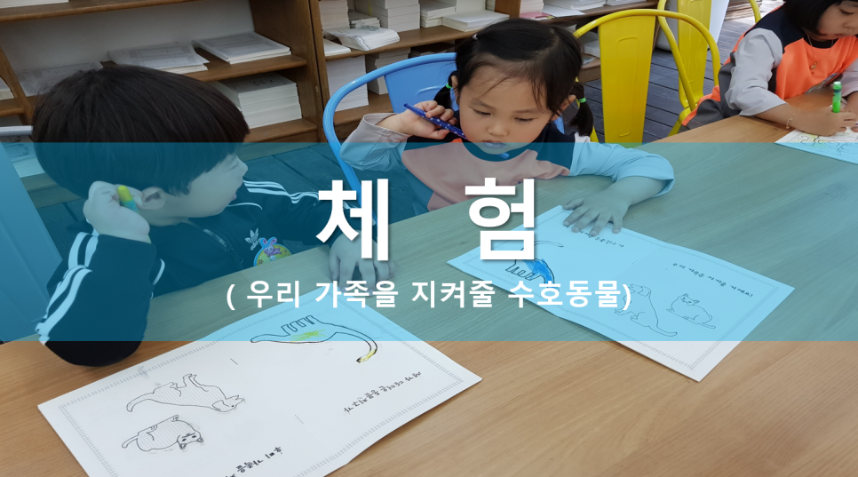 모아키즈플러스어린이집 이미지