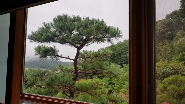 동산조경개발 이미지