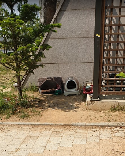 소노타투 이미지