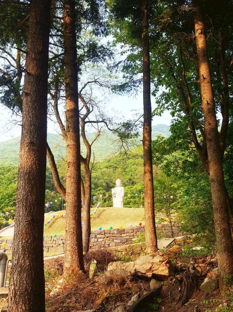 고광사 이미지