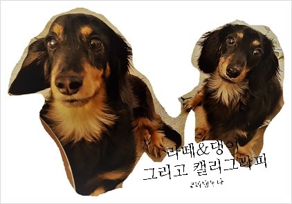 버드아뜰리에 이미지