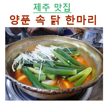 양푼속닭한마리 이미지