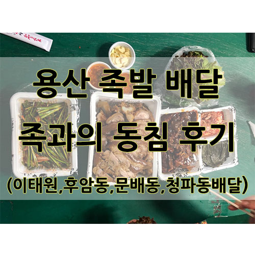 족과의동침 이미지